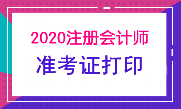 2020年新疆注冊(cè)會(huì)計(jì)師考試準(zhǔn)考證打印時(shí)間須知！