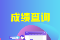 2021年安徽會(huì)計(jì)中級(jí)什么時(shí)候查成績(jī)？