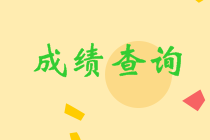 浙江省2023年會計初級考試成績何時公布？