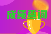 2023年江西省初級會計職稱成績查詢時間為？