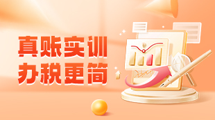 真賬實(shí)訓(xùn)，辦稅更簡(jiǎn)
